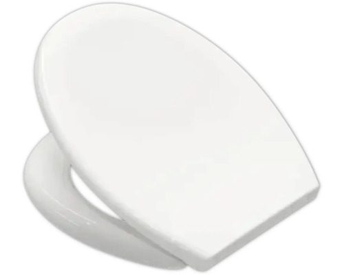 Toiletdeksel van sanitair keramiek