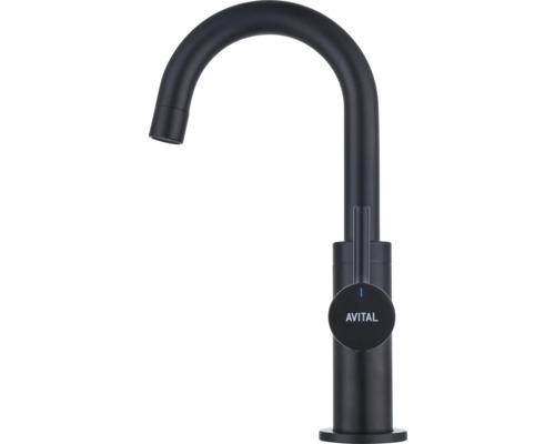 Avital keukenmengkraan met hoge uitloop