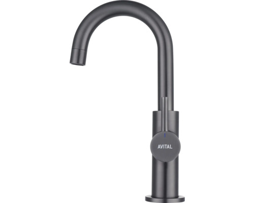 Avital keukenkraan met hoge uitloop