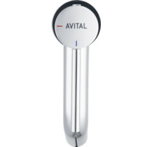Avital kraan voor de keuken