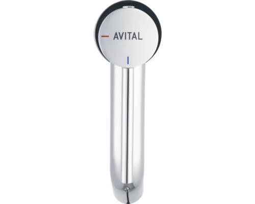 Avital kraan voor de keuken