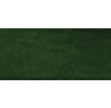 Donkergroen gazon