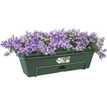Bloembak met paarse klokjesbloemen en Elho logo