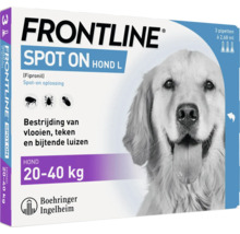 Frontline Spot On Hond L ter bestrijding van vlooien, teken en bijtende luizen voor honden met 20 tot 40 kilogram lichaamsgewicht