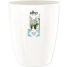 Witte orchideeënpot van Elho
