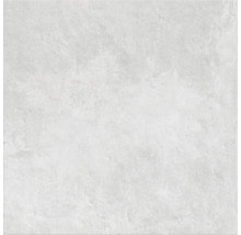 Een enkele keramische tegel met een mat oppervlak.