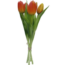 Bos tulpen met groene stelen