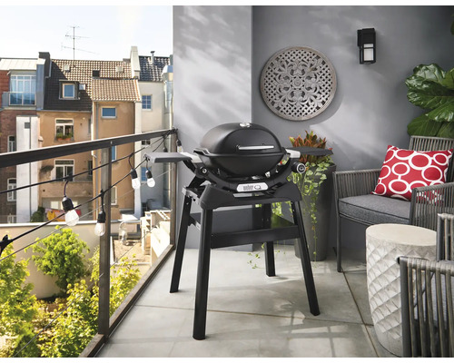 WEBER Standaard Q1200