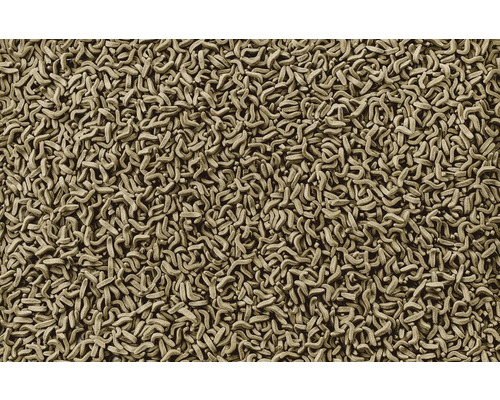 Close-up van visvoer