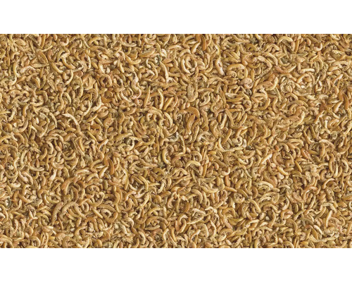 Gedroogde meelwormen als vogelvoer