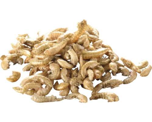 Stapel gedroogde meelwormen als vogelvoer of visvoer