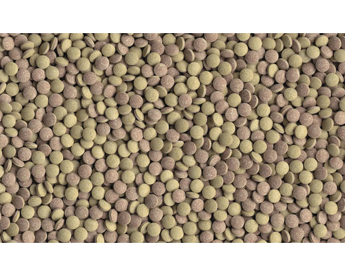 Close-up van visvoer tabletten