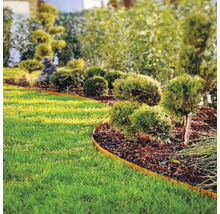 Tuinlandschap met gazon, struiken en border