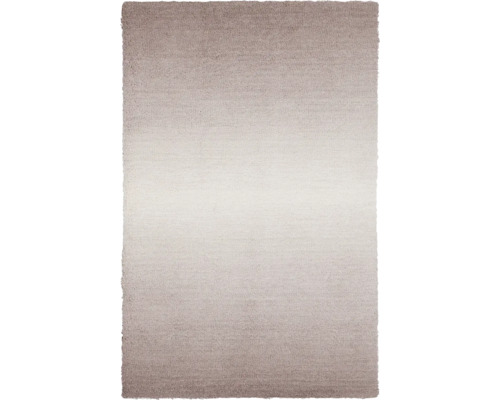 Vloerkleed Shading beige 200x300 cm Rechthoekig tapijt met kleurverloop