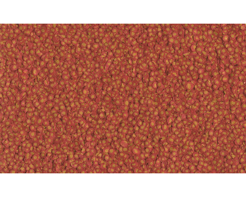 Close-up van visvoer