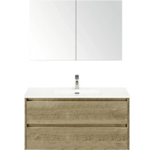 Wastafelmeubel met onderkast, wasbak en spiegelkast