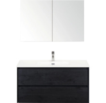 Wastafelonderkast met twee laden, wastafel en spiegelkast