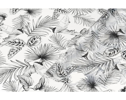 Behang met tropisch bladerdesign