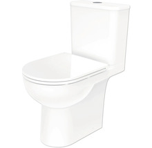 Staand toilet van keramiek met reservoir