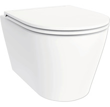 Wandcloset met deksel