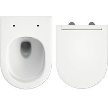 Hangtoilet en toiletzitting van keramiek