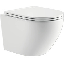 Wandcloset met diepspoeling en toiletzitting