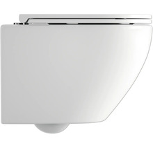 Wandhangend toilet met toiletdeksel