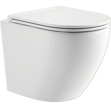 Wandcloset diepspoel met toiletzitting