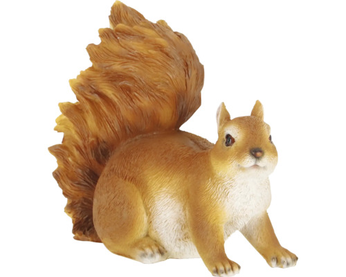Decoratief eekhoornbeeld voor buiten