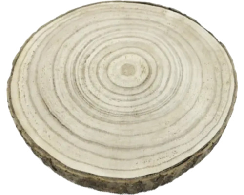 Houten schijf met jaarringen