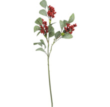 Decoratieve tak met bladeren en bessen voor decoratie