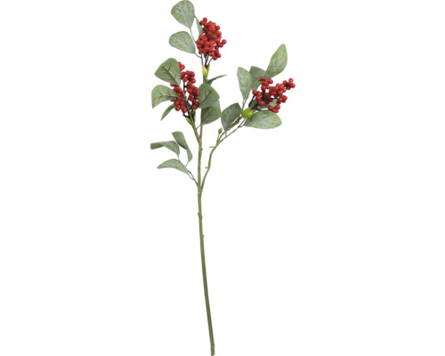 Decoratieve tak met bladeren en bessen voor decoratie