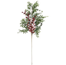 Decoratieve tak met bladeren en bessen voor feestelijke decoraties