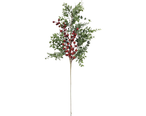 Decoratieve tak met bladeren en bessen voor feestelijke decoraties