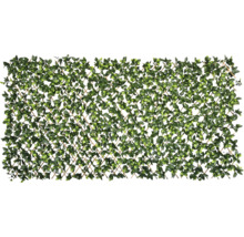 Tuinscherm Gardenia kunststof groen 180 x 90 cm