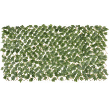 Decoratieve privacymuur met klimopbladeren voor de tuin