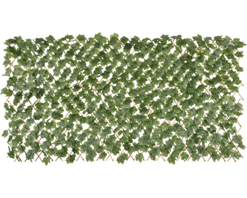 Decoratieve privacymuur met klimopbladeren voor de tuin