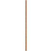 Houten plank