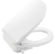 Toiletzitting met softclosemechanisme