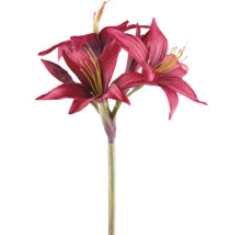 Kunstmatige amaryllis met meerdere bloemen en stengel