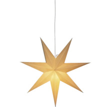 Gouden papieren ster om op te hangen