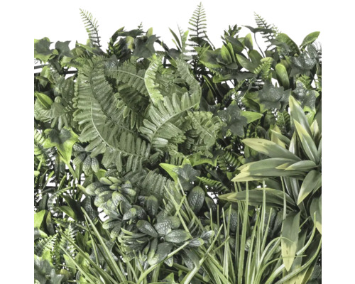 Close-up van een kunsthaag met diverse groene bladeren en varens.