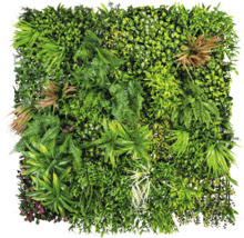 Kunstmatige groene wand met verschillende planten