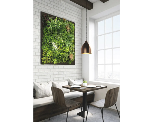 Eethoek met plantenwand, tafel en stoelen voor een raam