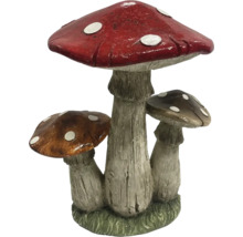 Decoratieve vliegenzwam voor de tuin