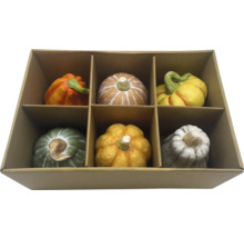 Decoratieve pompoenen in verschillende kleuren in kartonnen doos