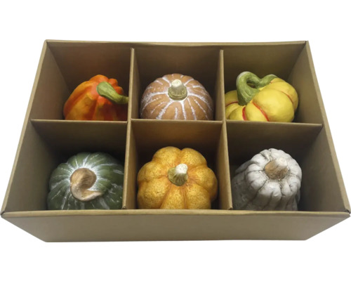 Decoratieve pompoenen in verschillende kleuren in kartonnen doos