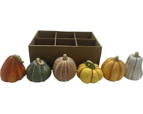 Decoratieve pompoenen met een kartonnen doos voor seizoensdecoratie