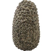 Decoratieve dennenappel voor de tuin