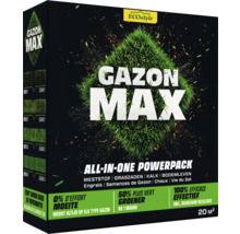 Gazon Max gazonzadenmix